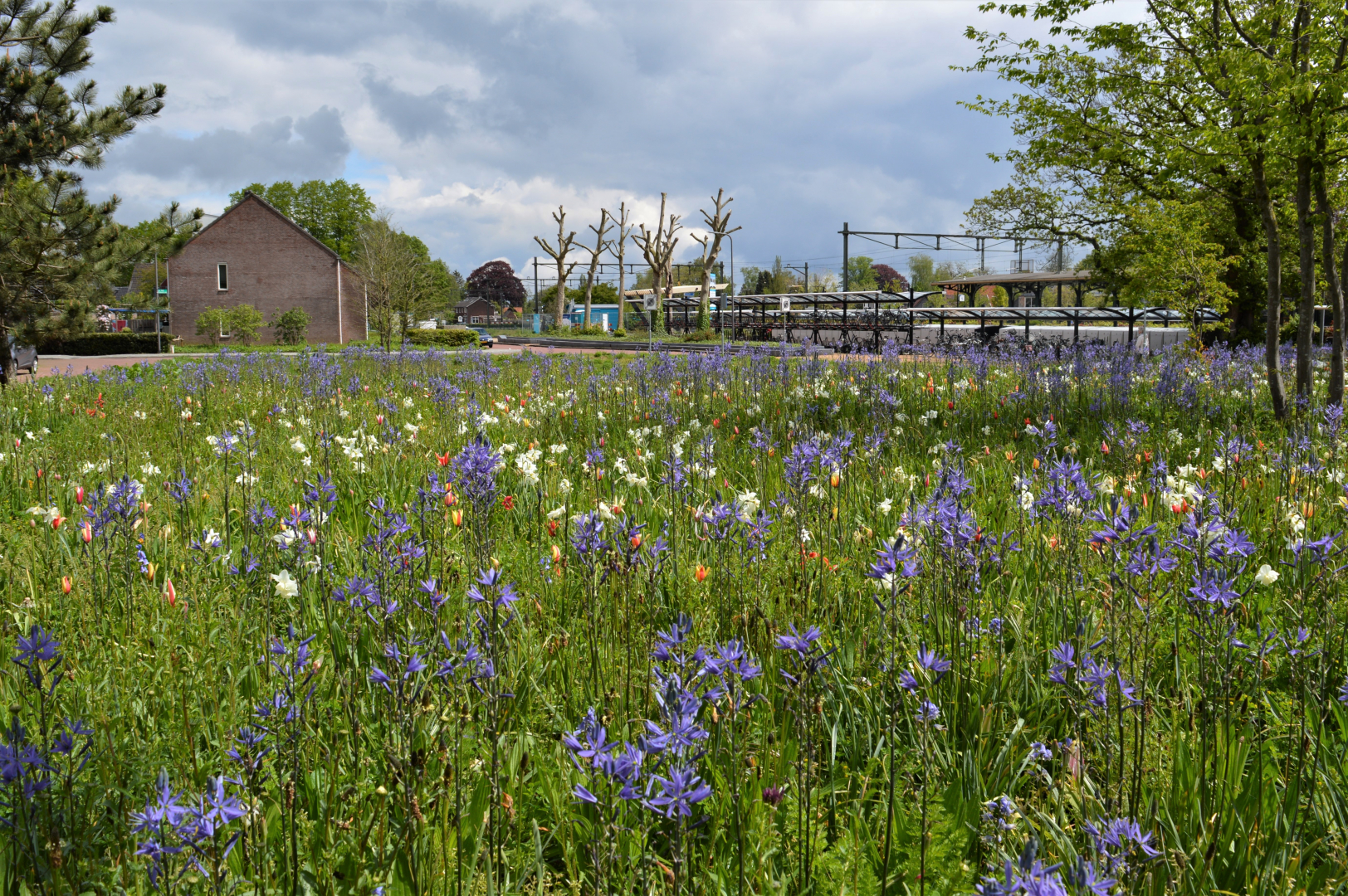 Eerste monitoring - Station Dieren