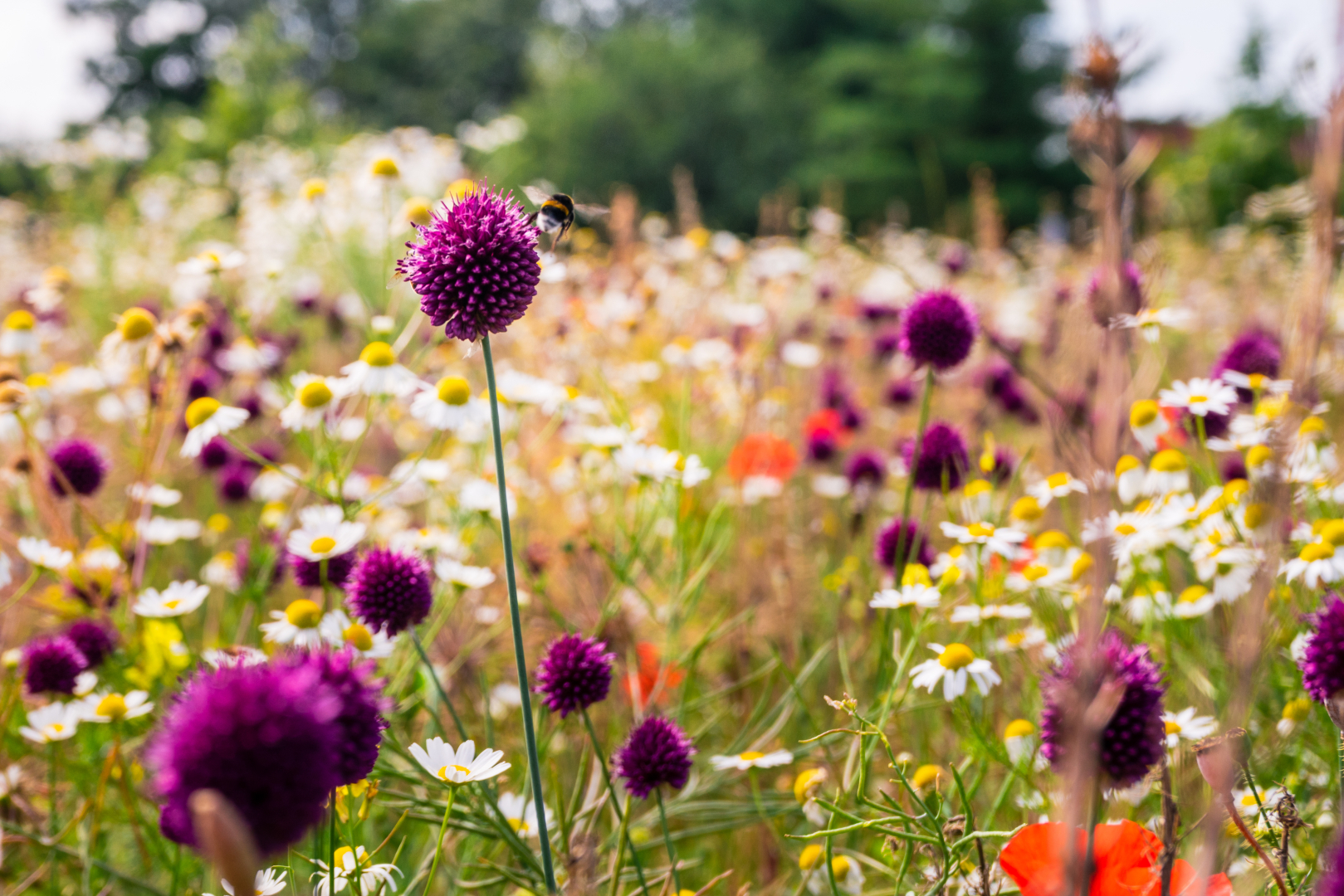 Een belangrijke en toch ook hoopvolle boodschap van Natuur en Milieu