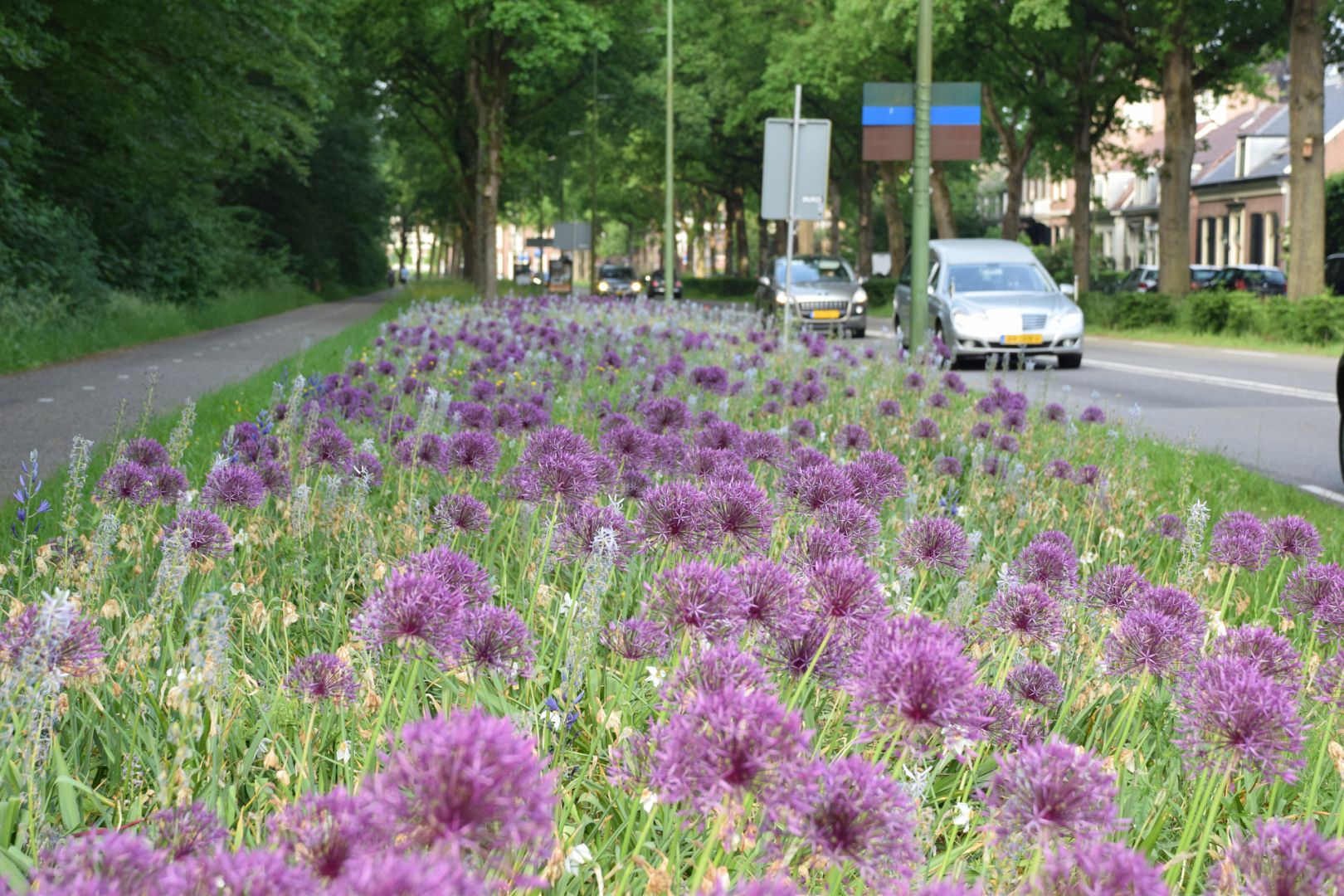 Bonte Berm