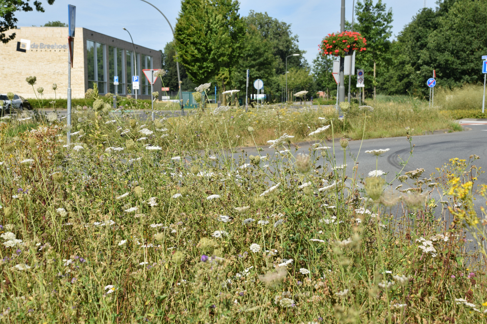 Bonte Berm