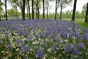 Gemeente Laarbeek - Ginderdoor