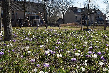 Daalmeerpad - Alkmaar