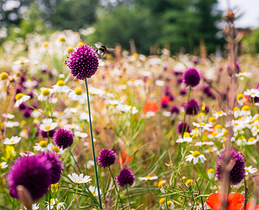 Een belangrijke en toch ook hoopvolle boodschap van Natuur en Milieu