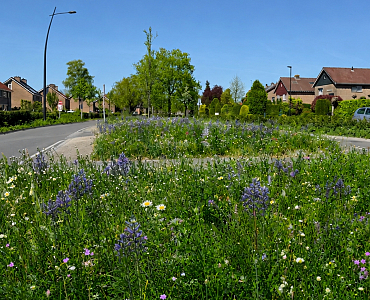 De Bonte Berm Roadshow in Putten