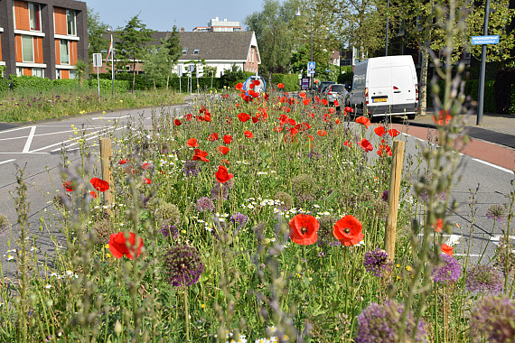 Gemeente Leiden - Fortunaweg