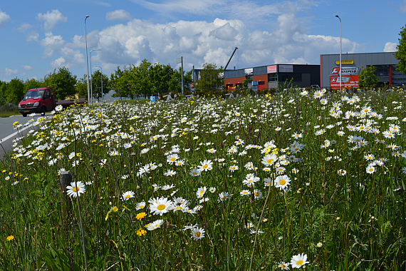 Gemeente Haaksbergen - Kolenbranderweg