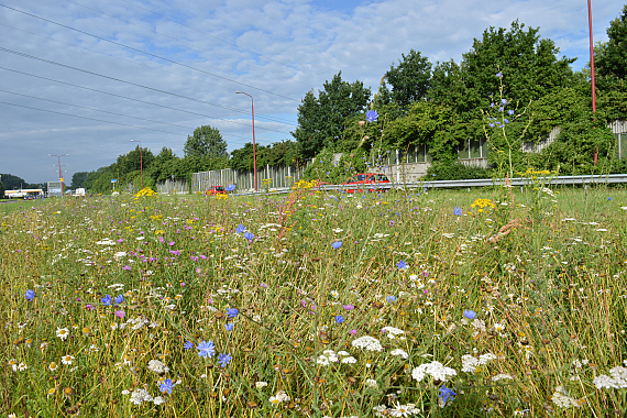 Gemeente Nieuwegein - A.C. Verhoefweg
