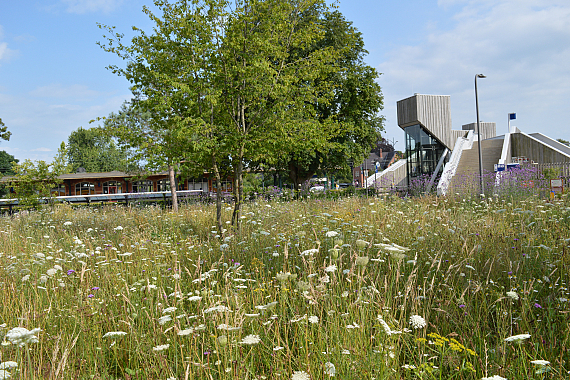 Gemeente Rheden - Station Dieren