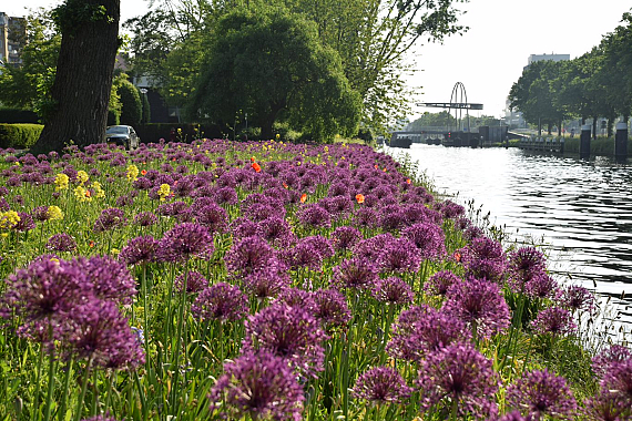 Gemeente Leidschendam-Voorburg - Park Leeuwensteijn