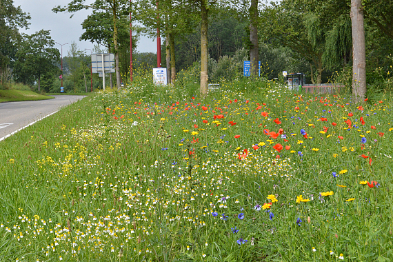 Gemeente Nieuwegein - Zandveldseweg