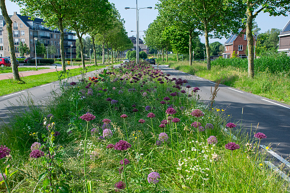 Gemeente Sliedrecht - Ouverture
