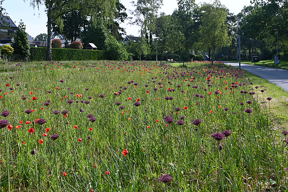 Gemeente Gooise Meren - H.A. Lorentzweg