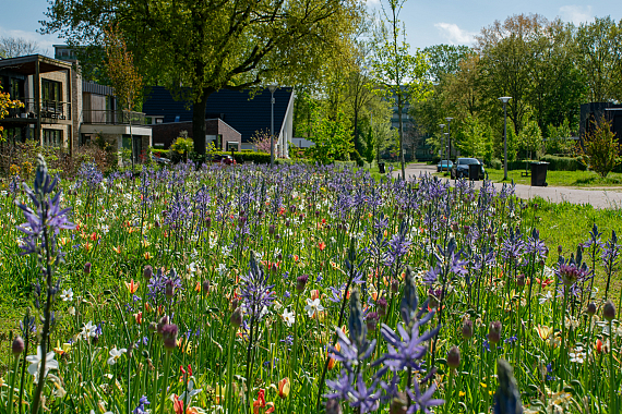 Gemeente Zutphen - Laan van Neder Helbergen