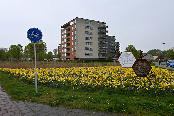 Gemeente Katwijk - Parnassia
