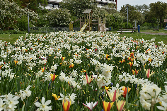 Gemeente Amsterdam - Aquamarin