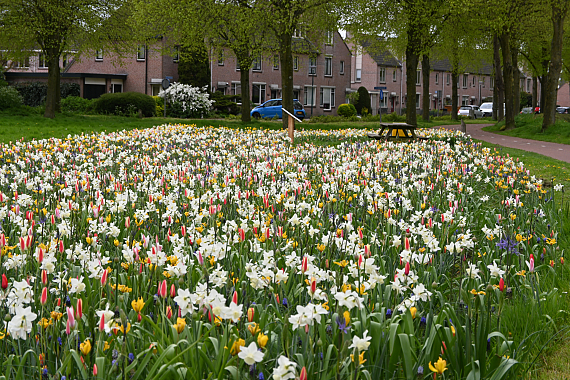 Gemeente Bunnik - De Singel