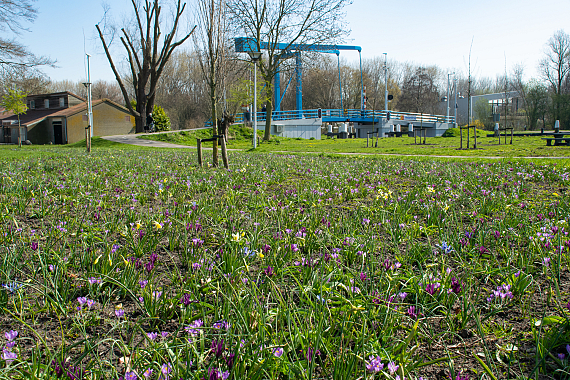 Gemeente Voorschoten - Frans Hals Plantsoen