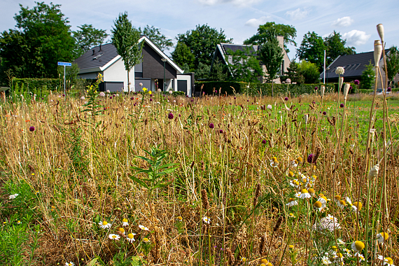 Gemeente Hilvarenbeek - Heerkenslaan