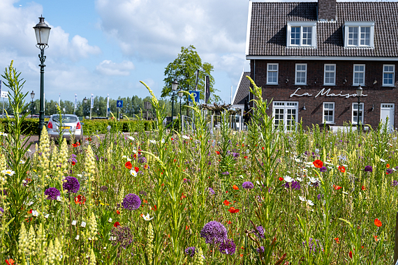 Gemeente Huizen - Havenstraat