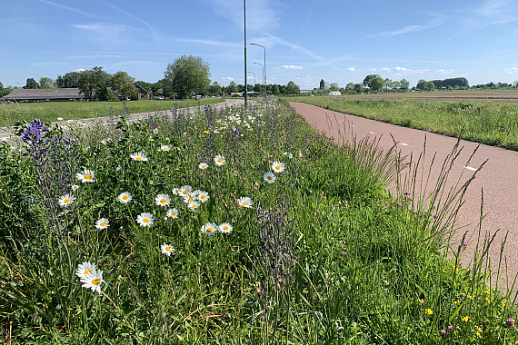 Gemeente Altena - Grote Waardweg