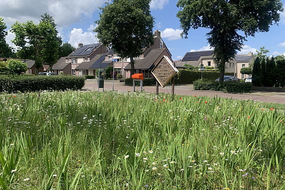 Gemeente Gilze en Rijen - Marga Klompélaan