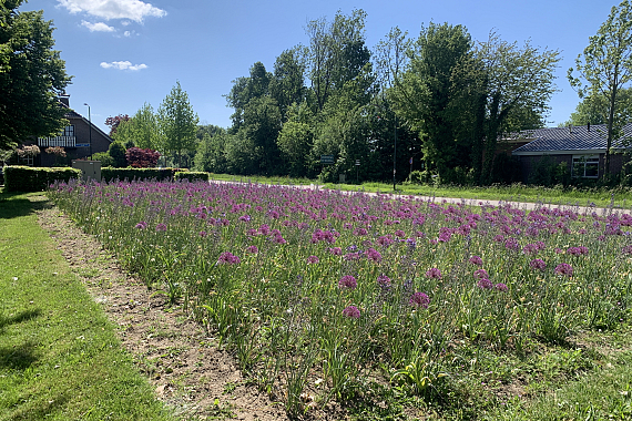 Gemeente Altena - Middelvaart