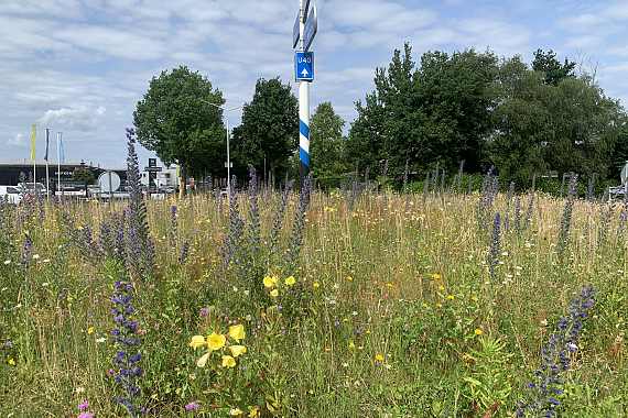 Gemeente Oirschot - Bestseweg