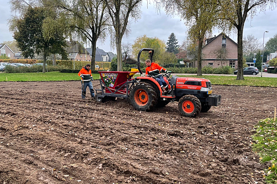 Planting flower bulbs