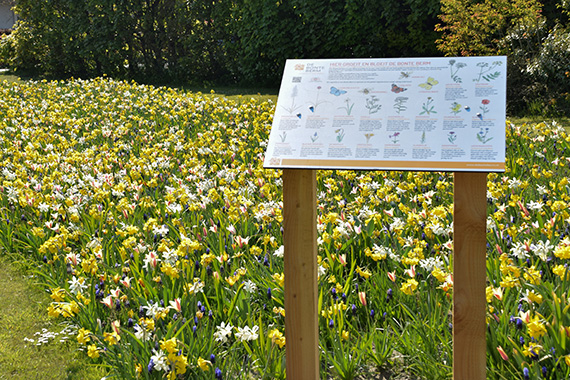 Placement of information board