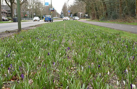 Gemeente Zeist