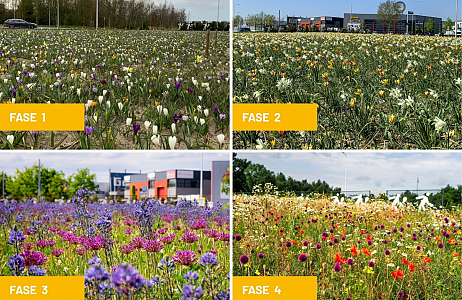 Persbericht: John Koomen Hoveniers nieuwe uitvoeringspartner van De Bonte Berm in Noord-Holland